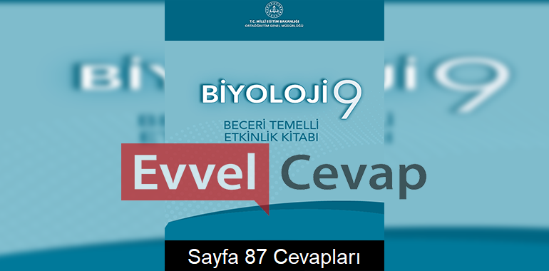 9. Sınıf Biyoloji Beceri Temelli Etkinlik Kitabı Cevapları Sayfa 87