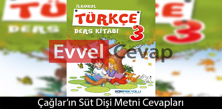 Çağlar'ın Süt Dişi Metni Etkinlik Cevapları (3. Sınıf Türkçe)
