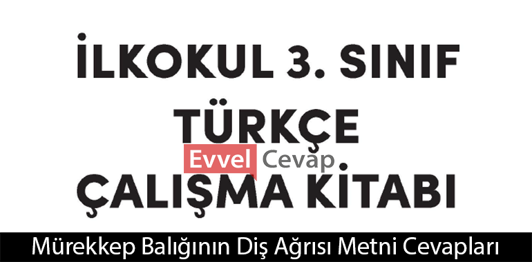 Mürekkep Balığının Diş Ağrısı Metni Etkinlik Cevapları (3. Sınıf Türkçe)