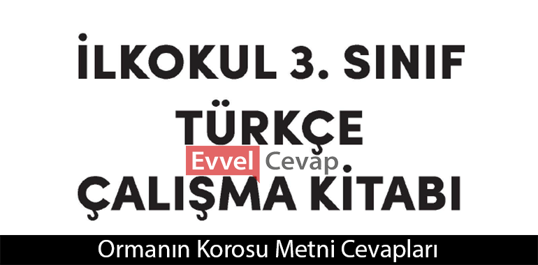Ormanın Korosu Metni Etkinlik Cevapları (3. Sınıf Türkçe)