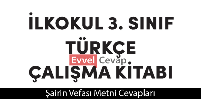 Şairin Vefası Metni Etkinlik Cevapları (3. Sınıf Türkçe)