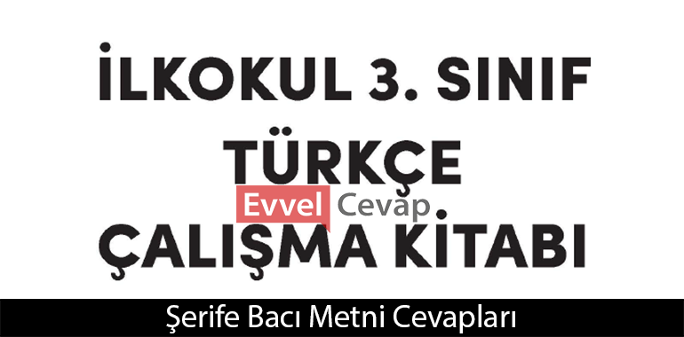 Şerife Bacı Metni Etkinlik Cevapları (3. Sınıf Türkçe)