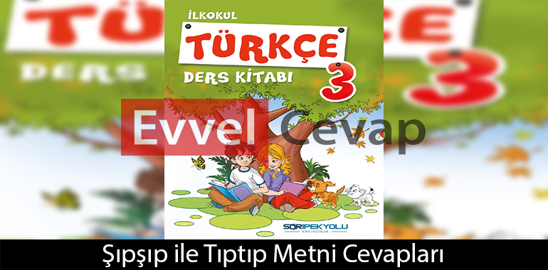 Şıpşıp ile Tıptıp Metni Etkinlik Cevapları (3. Sınıf Türkçe)