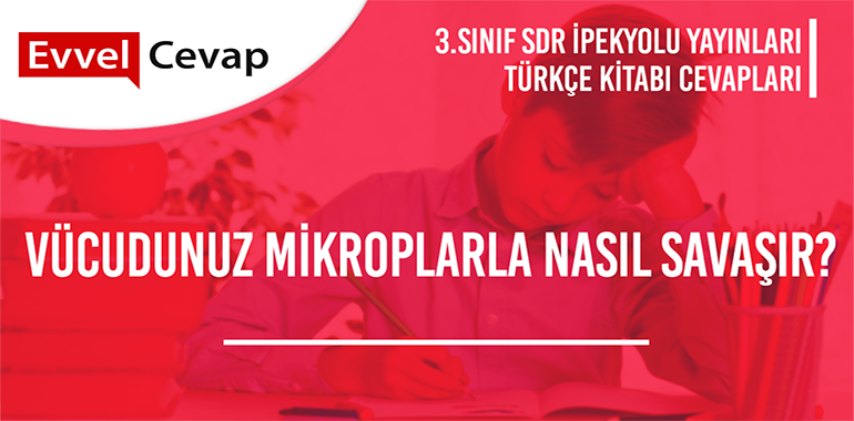 3. Sınıf SDR İpekyolu Yayınları Türkçe Ders Kitabı Cevapları Sayfa 118-119