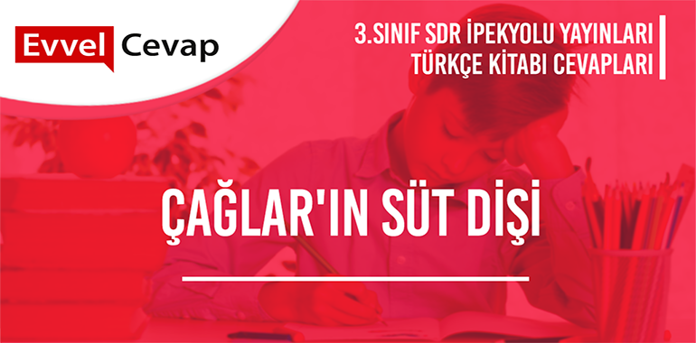 3. Sınıf SDR İpekyolu Yayınları Türkçe Ders Kitabı Cevapları Sayfa 90-91-92-93-94-95-96-97-98-99-100-101-102