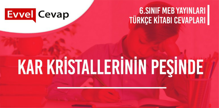6. Sınıf Türkçe Ders Kitabı Sayfa 160-161-162-163-164-165 Cevapları Meb Yayınları