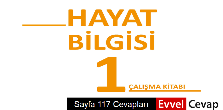 1. Sınıf Hayat Bilgisi Çalışma Kitabı Sayfa 117 Cevapları