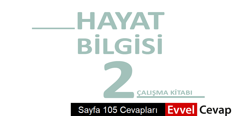 2. Sınıf Hayat Bilgisi Çalışma Kitabı Sayfa 105 Cevapları