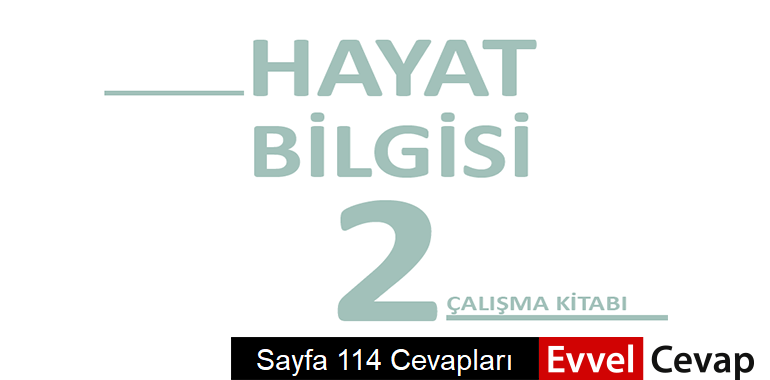 2. Sınıf Hayat Bilgisi Çalışma Kitabı Sayfa 114 Cevapları
