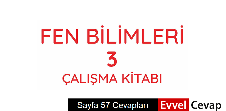 3. Sınıf Fen Bilimleri Çalışma Kitabı Sayfa 57 Cevapları