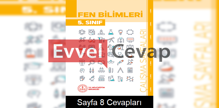 5. Sınıf Fen Bilimleri Çalışma Sayfaları Kitabı Cevapları 3. Ünite Sayfa 8