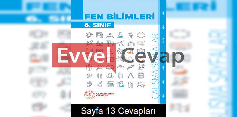 6. Sınıf Fen Bilimleri Çalışma Sayfaları Kitabı Cevapları 2. Ünite Sayfa 13