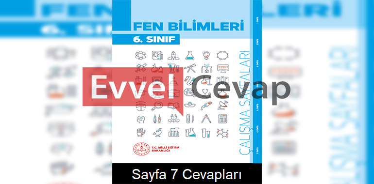6. Sınıf Fen Bilimleri Çalışma Sayfaları Kitabı Cevapları 2. Ünite Sayfa 7