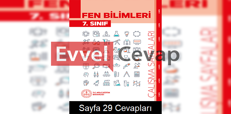 7. Sınıf Fen Bilimleri Çalışma Sayfaları Kitabı Cevapları 4. Ünite Sayfa 29