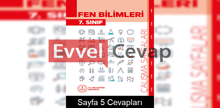 7. Sınıf Fen Bilimleri Çalışma Sayfaları Kitabı Cevapları 5. Ünite Sayfa 5