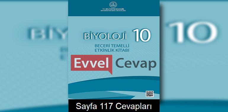 10. Sınıf Biyoloji Beceri Temelli Etkinlik Kitabı Cevapları Sayfa 117