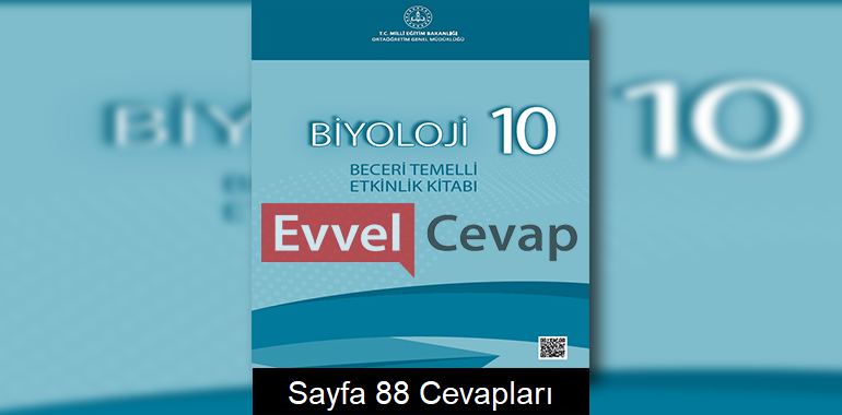 10. Sınıf Biyoloji Beceri Temelli Etkinlik Kitabı Cevapları Sayfa 88