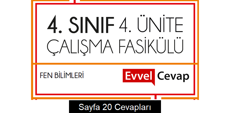4. Sınıf Fen Bilimleri Çalışma Fasikülü 4. Ünite Cevapları Sayfa 20