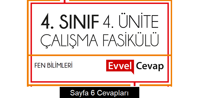 4. Sınıf Fen Bilimleri Çalışma Fasikülü 4. Ünite Cevapları Sayfa 6