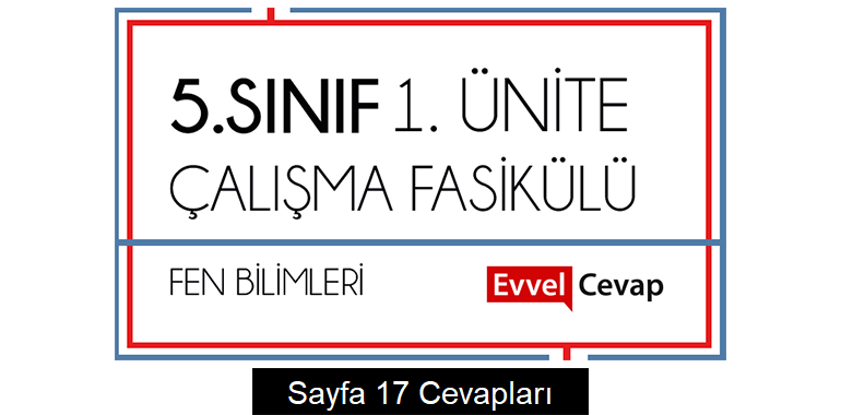 5. Sınıf Fen Bilimleri Çalışma Fasikülü 1. Ünite Cevapları Sayfa 17