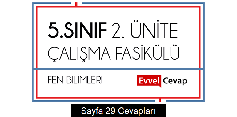 5. Sınıf Fen Bilimleri Çalışma Fasikülü 2. Ünite Cevapları Sayfa 29