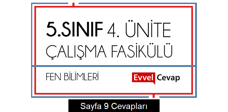 5. Sınıf Fen Bilimleri Çalışma Fasikülü 4. Ünite Cevapları Sayfa 9