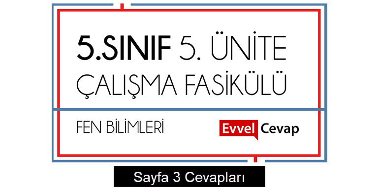 5. Sınıf Fen Bilimleri Çalışma Fasikülü 5. Ünite Cevapları Sayfa 3