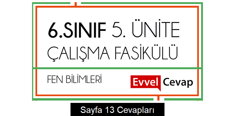6. Sınıf Fen Bilimleri Çalışma Fasikülü 5. Ünite Cevapları Sayfa 13