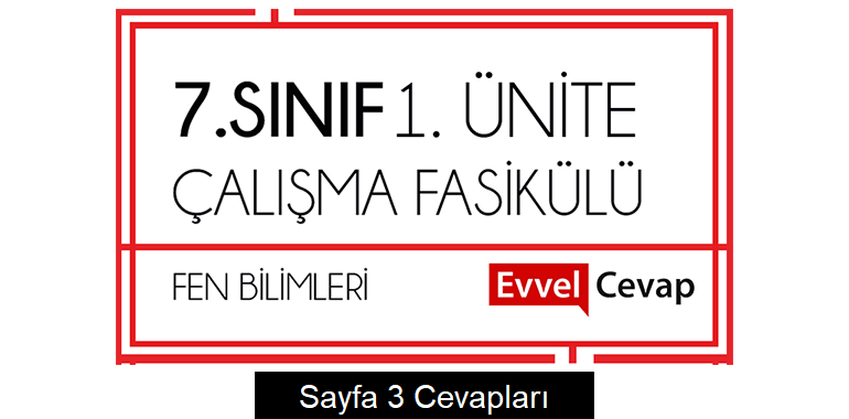 7. Sınıf Fen Bilimleri Çalışma Fasikülü 1. Ünite Cevapları Sayfa 3