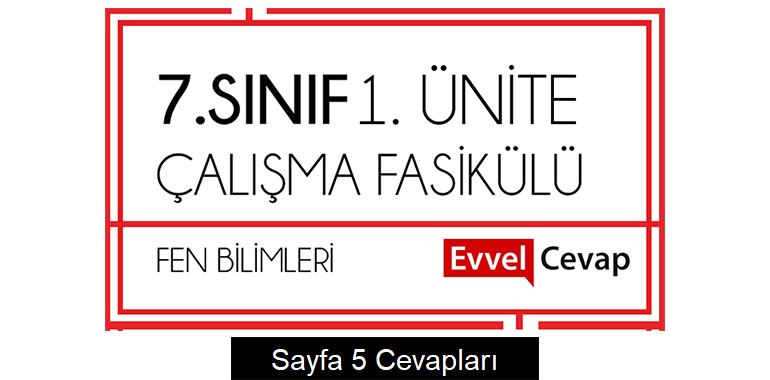 7. Sınıf Fen Bilimleri Çalışma Fasikülü 1. Ünite Cevapları Sayfa 5