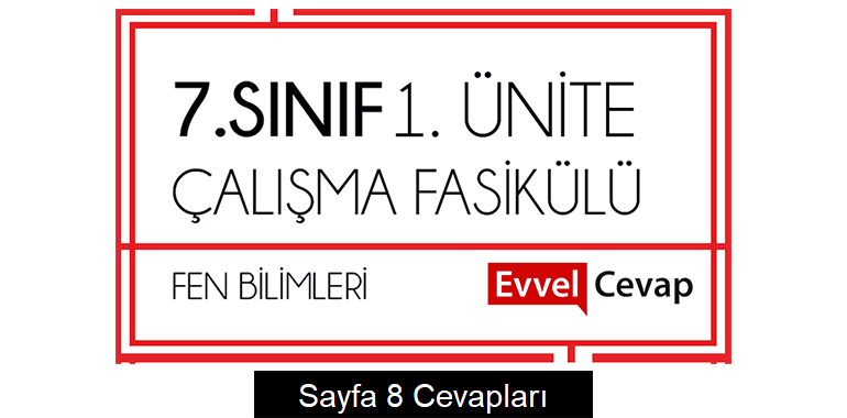 7. Sınıf Fen Bilimleri Çalışma Fasikülü 1. Ünite Cevapları Sayfa 8