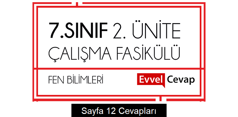 7. Sınıf Fen Bilimleri Çalışma Fasikülü 2. Ünite Cevapları Sayfa 12