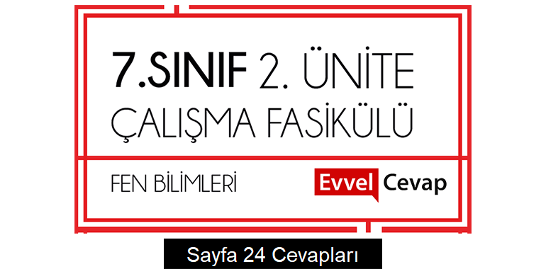 7. Sınıf Fen Bilimleri Çalışma Fasikülü 2. Ünite Cevapları Sayfa 24