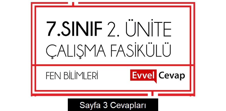 7. Sınıf Fen Bilimleri Çalışma Fasikülü 2. Ünite Cevapları Sayfa 3