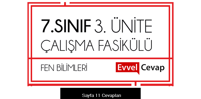7. Sınıf Fen Bilimleri Çalışma Fasikülü 3. Ünite Cevapları Sayfa 11