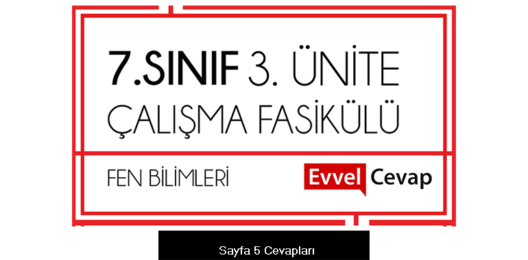 7. Sınıf Fen Bilimleri Çalışma Fasikülü 3. Ünite Cevapları Sayfa 5