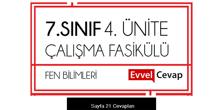 7. Sınıf Fen Bilimleri Çalışma Fasikülü 4. Ünite Cevapları Sayfa 21
