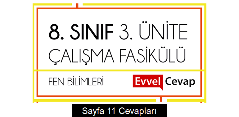 8. Sınıf Fen Bilimleri Çalışma Fasikülü 3. Ünite Cevapları Sayfa 11