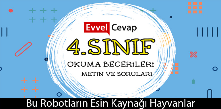Okuduğunuz iki metinden hareketle aşağıdakilerden hangileri doğrudur? Uygun olan bütün seçenekleri işaretleyiniz.