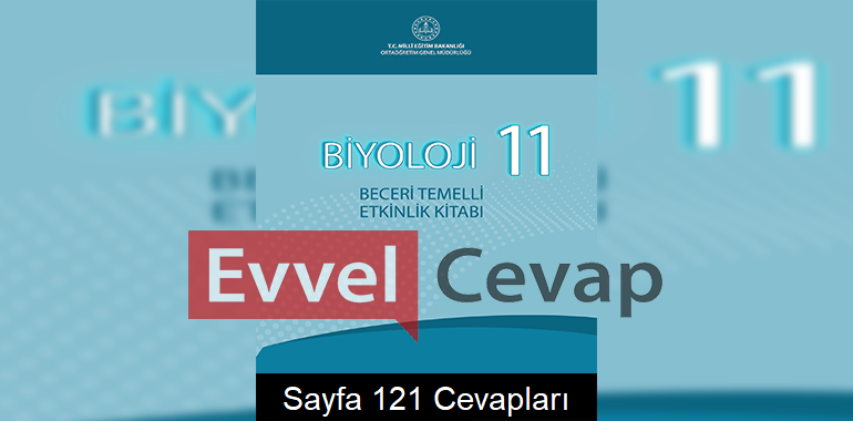 11. Sınıf Biyoloji Beceri Temelli Etkinlik Kitabı Cevapları Sayfa 121