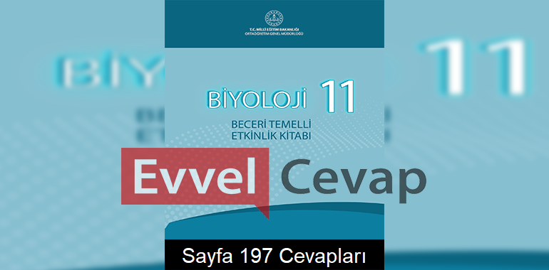 11. Sınıf Biyoloji Beceri Temelli Etkinlik Kitabı Cevapları Sayfa 197