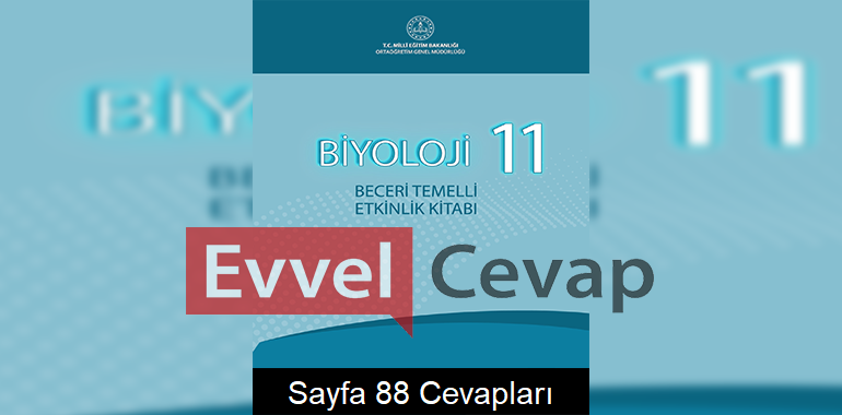 11. Sınıf Biyoloji Beceri Temelli Etkinlik Kitabı Cevapları Sayfa 88