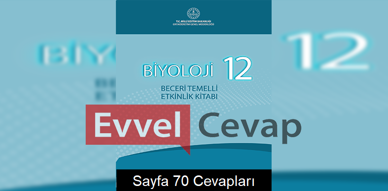 12. Sınıf Biyoloji Beceri Temelli Etkinlik Kitabı Cevapları Sayfa 70