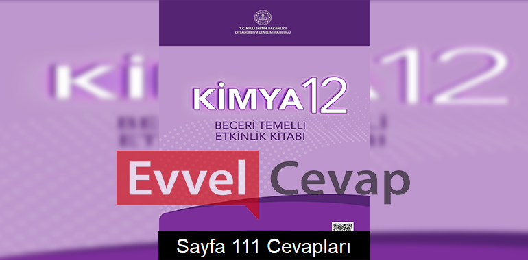12. Sınıf Kimya Beceri Temelli Etkinlik Kitabı Cevapları Sayfa 111