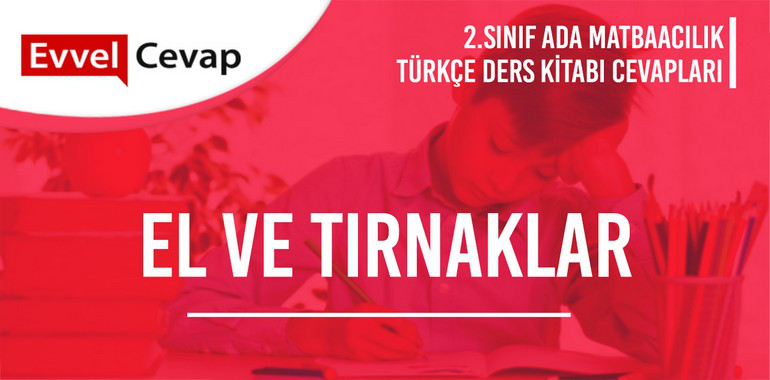2. Sınıf Ada Matbaacılık Yayınları Türkçe Ders Kitabı Cevapları Sayfa 185-186-187-188-189