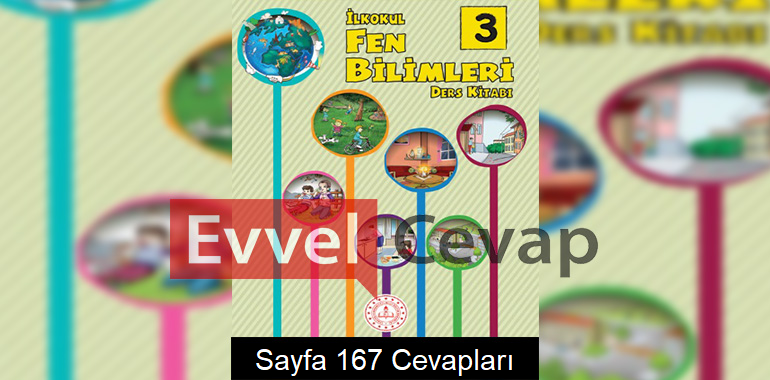 3. Sınıf Fen Bilimleri Ders Kitabı Cevapları Meb Yayınları Sayfa 167