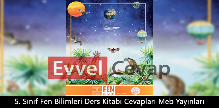 5. Sınıf Fen Bilimleri Ders Kitabı Cevapları Meb Yayınları