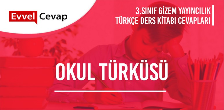 3. Sınıf Gizem Yayınları Türkçe Ders Kitabı Cevapları Sayfa 164