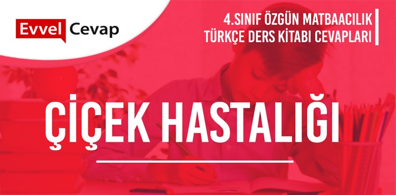 4. Sınıf Özgün Yayınları Türkçe Ders Kitabı Cevapları Sayfa 228-229-230