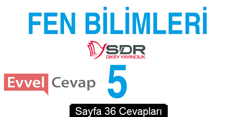 5. Sınıf Fen Bilimleri SDR Dikey Yayıncılık Ders Kitabı Cevapları Sayfa 36